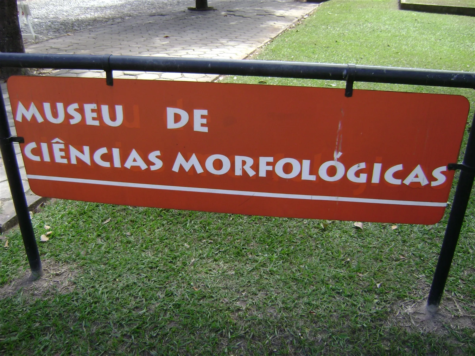 Museum of Morphological Sciences