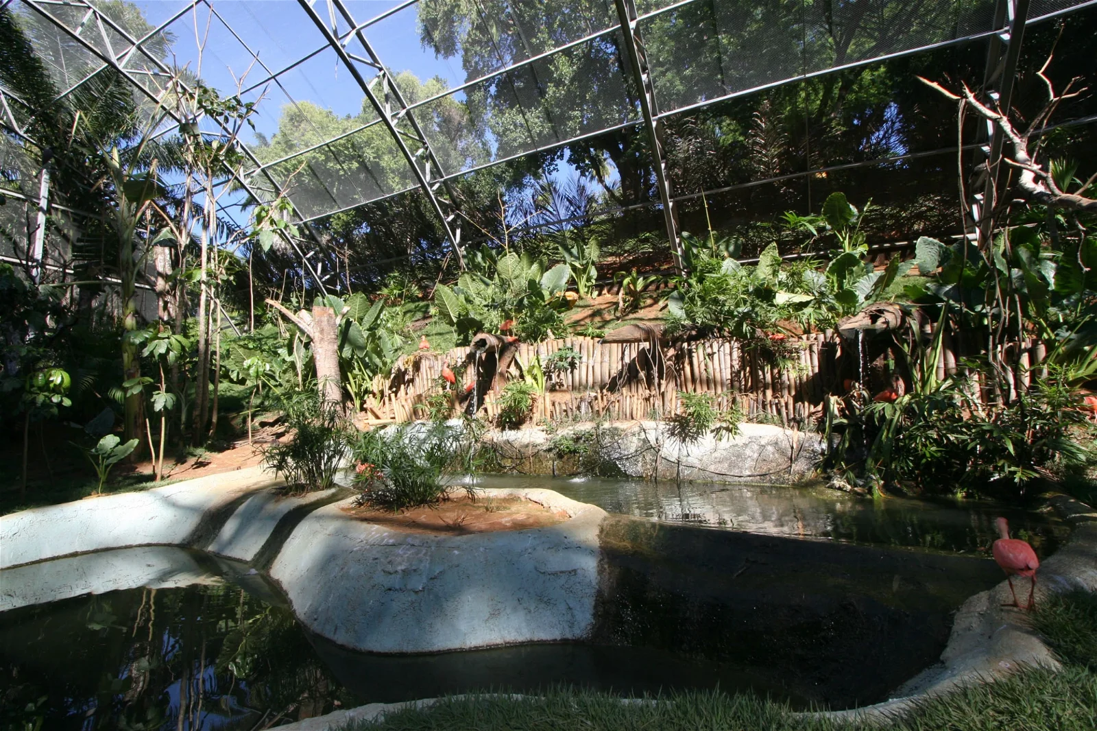 Salvador Zoo and Botanical Park