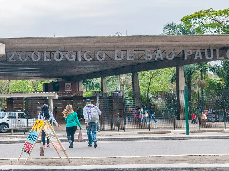 São Paulo Zoo (São Paulo) Visitor Information & Reviews