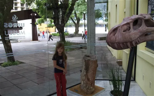 Institute of Geosciences of the Universidade Federal do Rio Grande do Sul