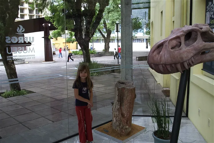Institute of Geosciences of the Universidade Federal do Rio Grande do Sul