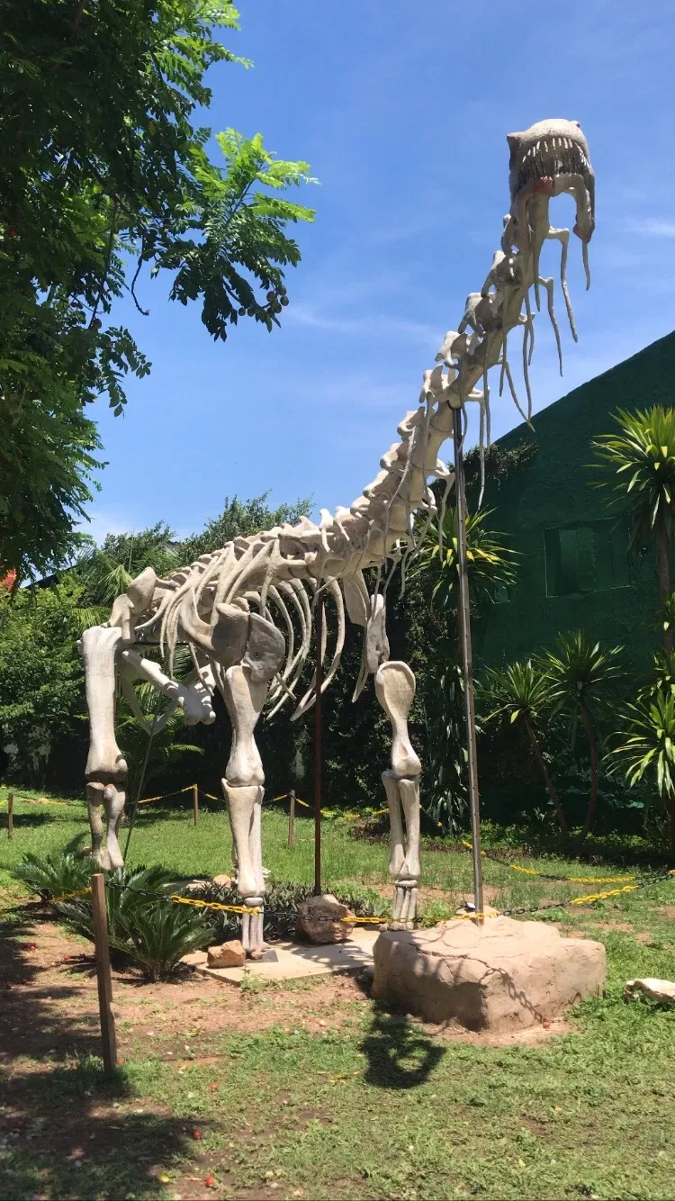 Museu de Pré-História Casa Dom Aquino