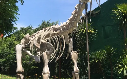 Museu de Pré-História Casa Dom Aquino