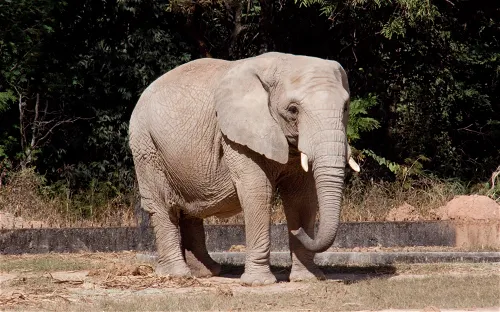 Zoological Park and Botanical Garden