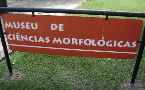 Morphological Sciences Museum UFMG