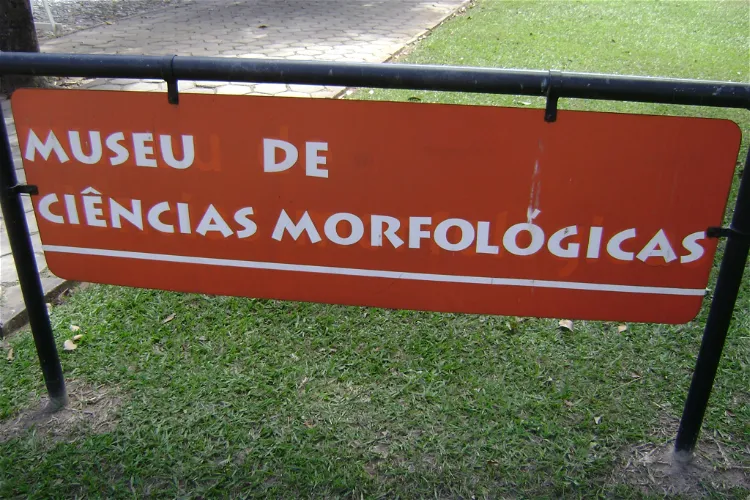 Morphological Sciences Museum UFMG