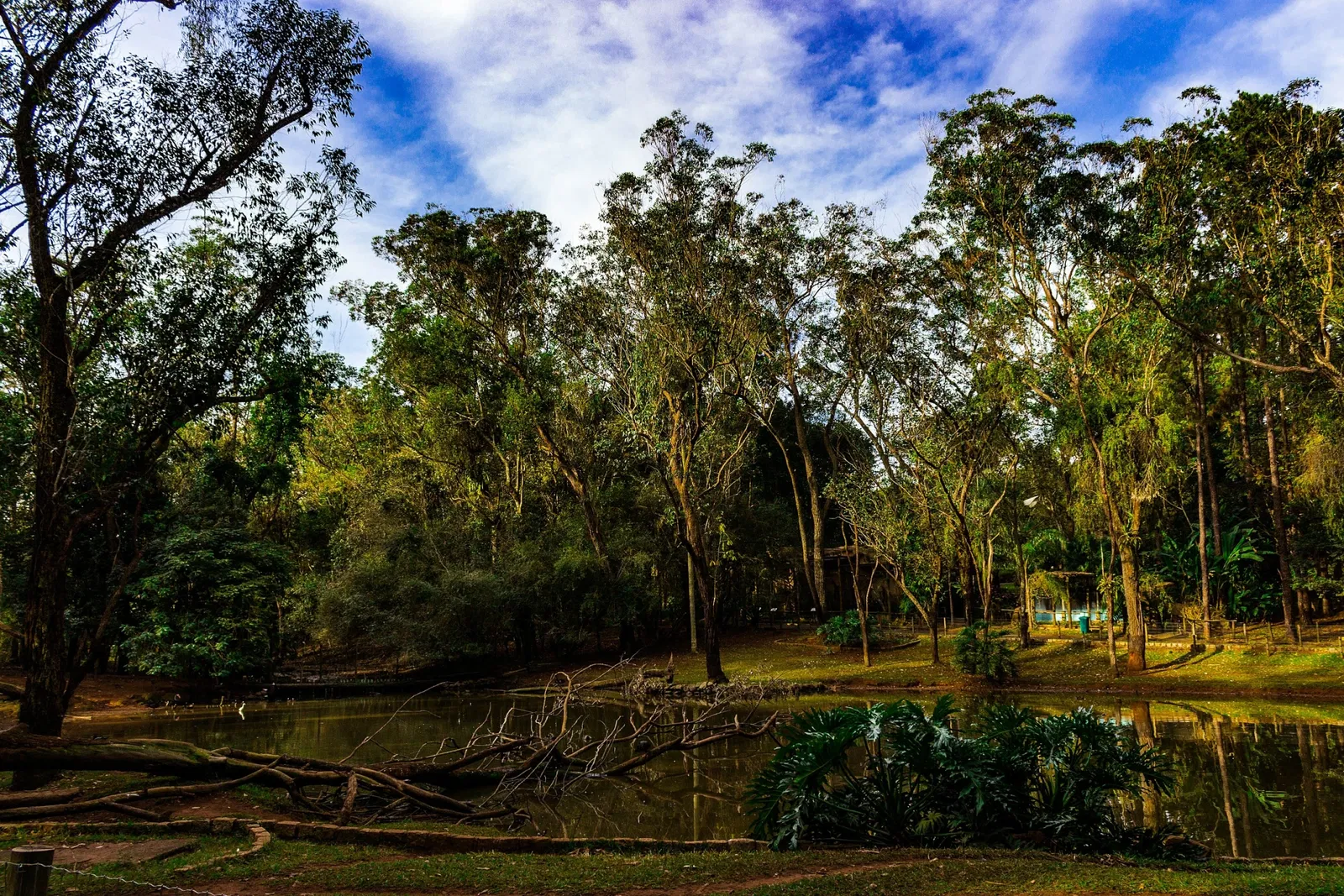 São Carlos Ecological Park