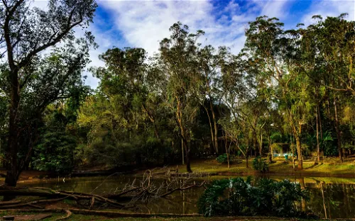São Carlos Ecological Park