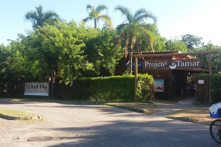 Projet TAMAR