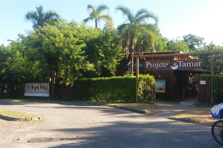 TAMAR Project