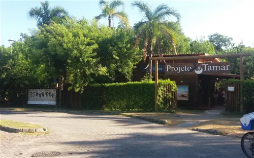TAMAR Project