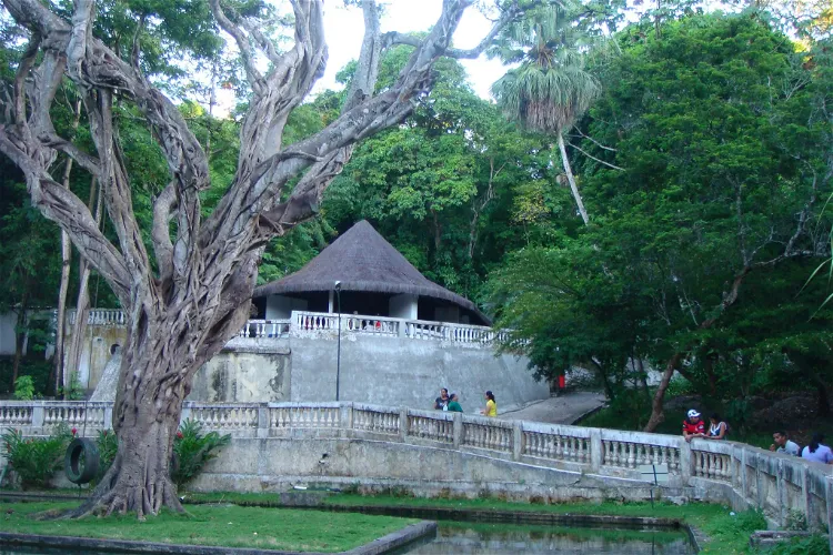 Parque Arruda Câmara