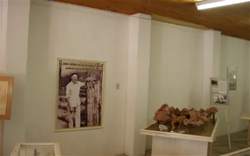 Museum Daniel Cargnin