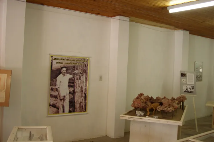 Museum Daniel Cargnin