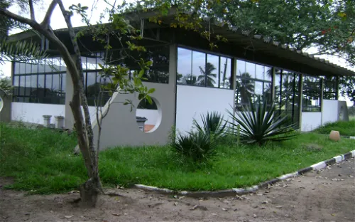 Museum House of the Wild