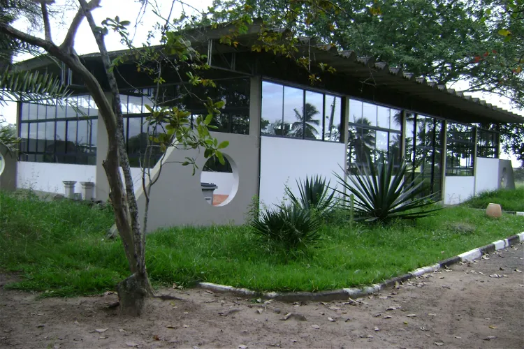 Museum House of the Wild