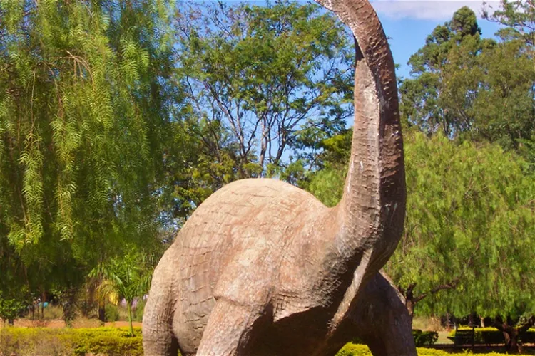 Dinosaur Museum