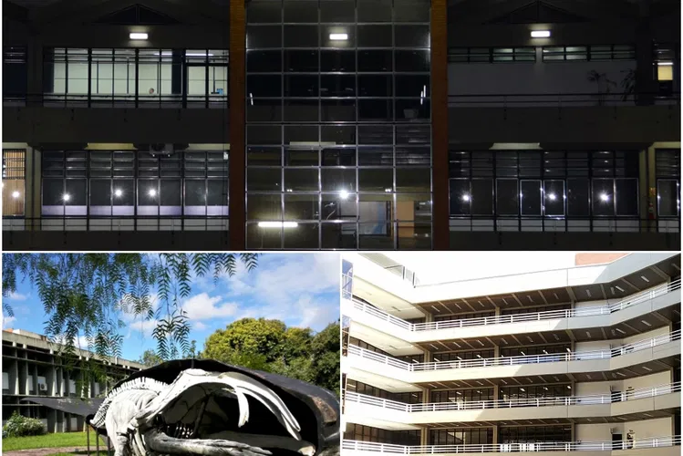 Université de la Vallée du Rio dos Sinos