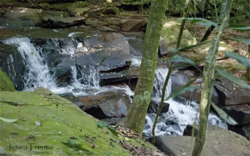 Jardim Botânico de Lajeado