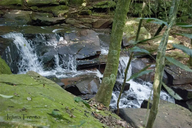 Jardim Botânico de Lajeado
