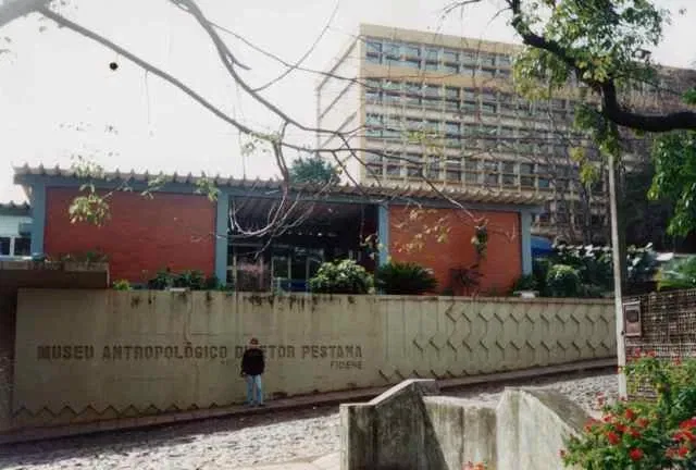 Anthropological Museum Director Pestana