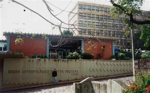 Anthropological Museum Director Pestana