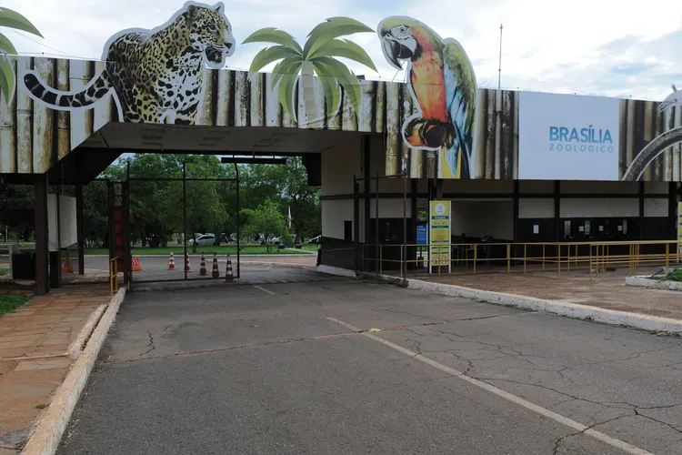 Jardín zoológico de Brasilia