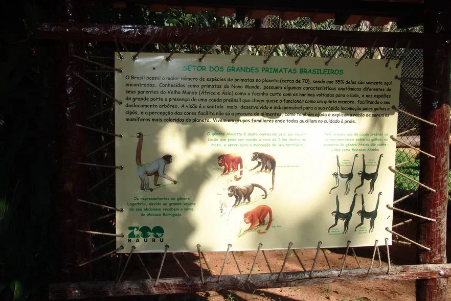 Bauru Zoo