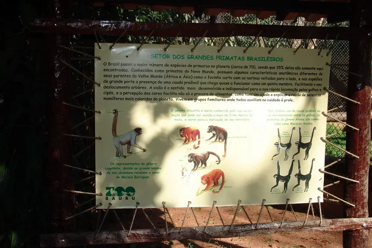 Bauru Zoo