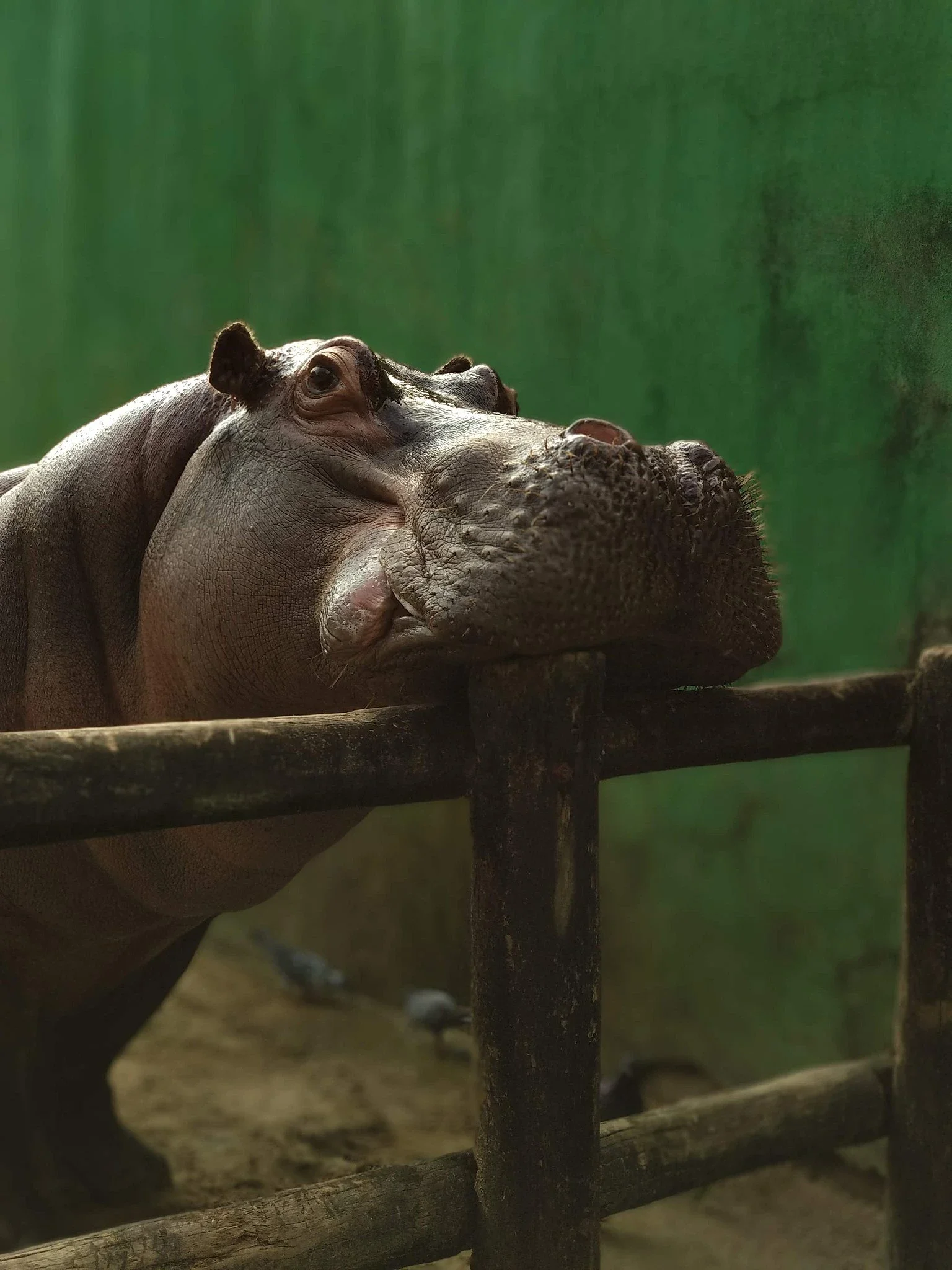 Ecological Park Voturuá