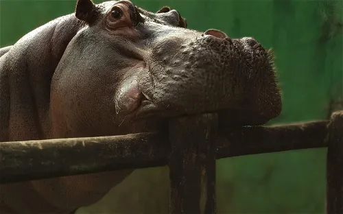 Ecological Park Voturuá