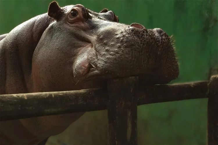 Ecological Park Voturuá