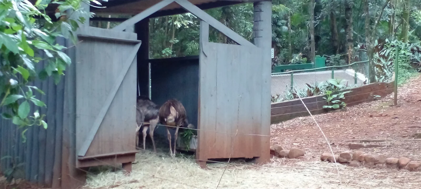 Municipal Zoo Danilo José Galafassi