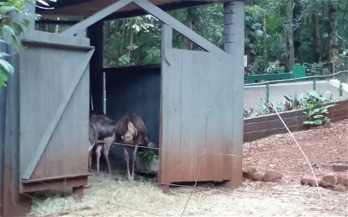 Municipal Zoo Danilo José Galafassi
