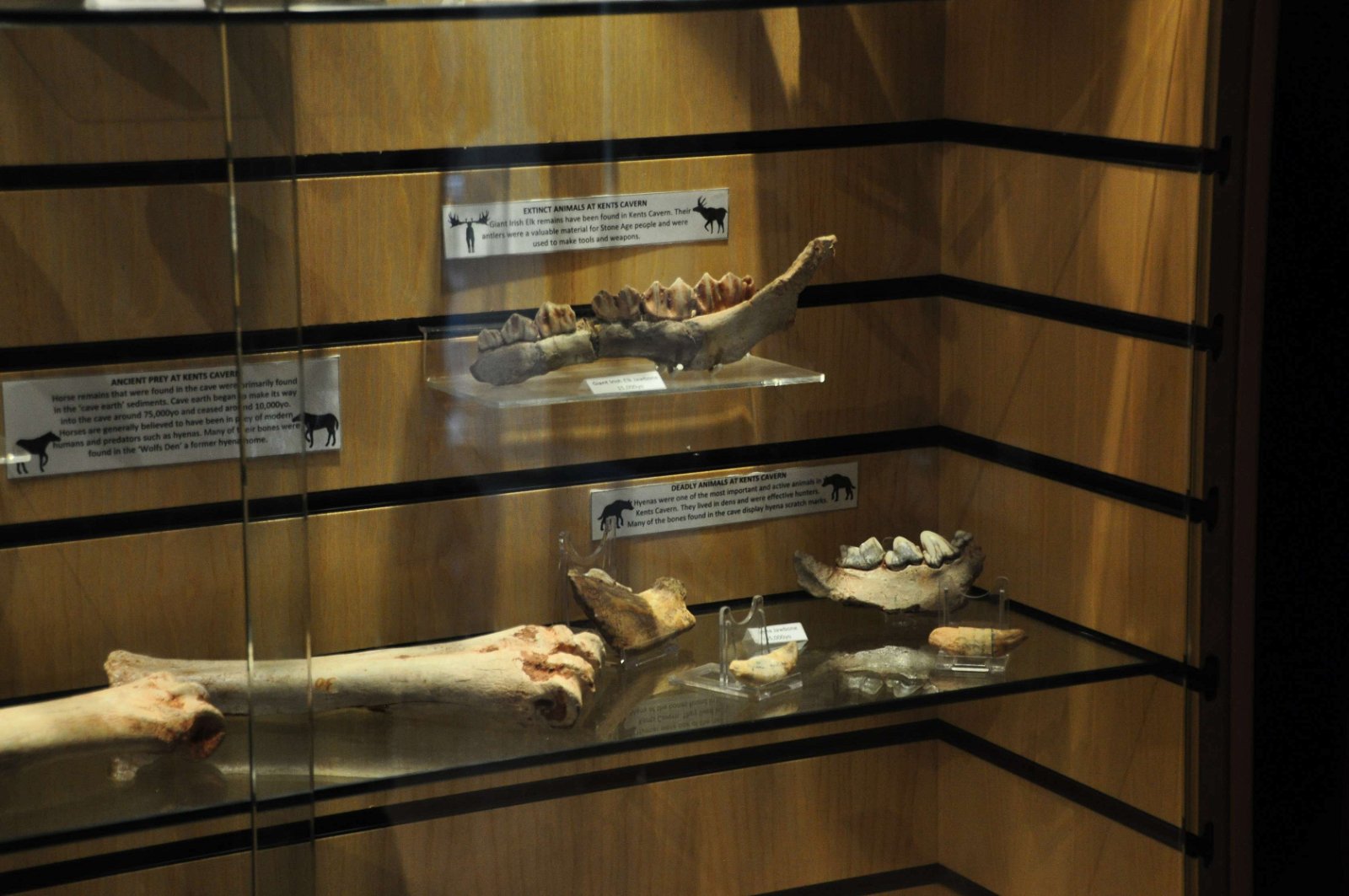 Kents Cavern Prehistoric Caves