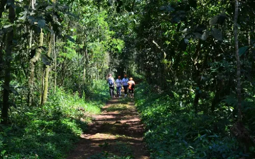 Parque Estadual Vila Rica do Espírito Santo