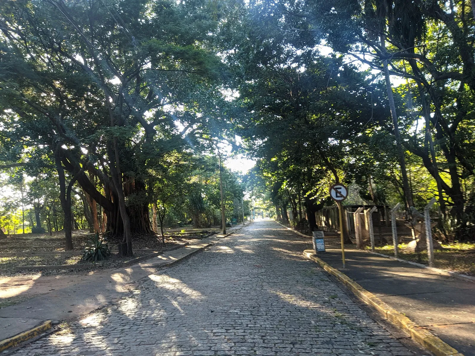 Parque Municipal Dr. Flavio Leite Ribeiro
