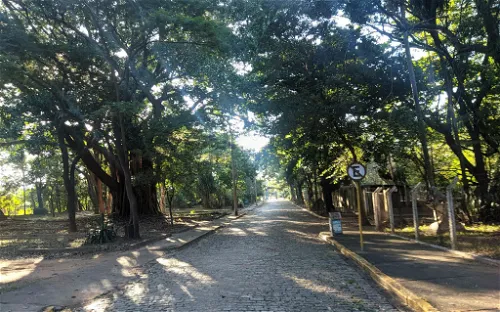 Parque Municipal Dr. Flavio Leite Ribeiro