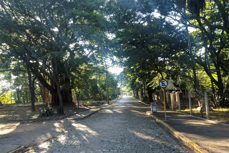 Parque Municipal Dr. Flavio Leite Ribeiro
