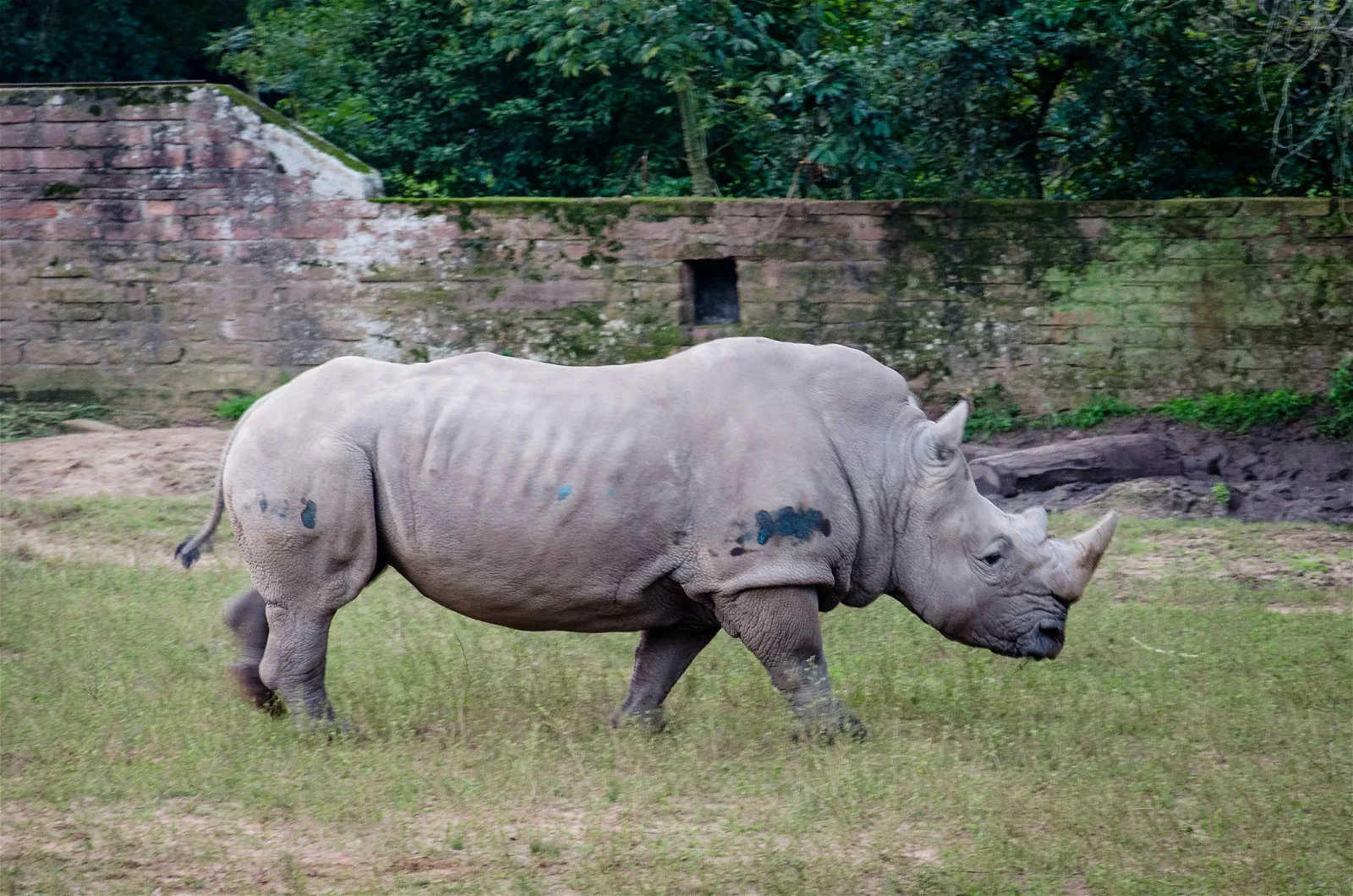 Park Zoo Sapucaia do Sul