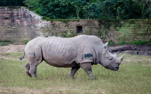 Park Zoo Sapucaia do Sul