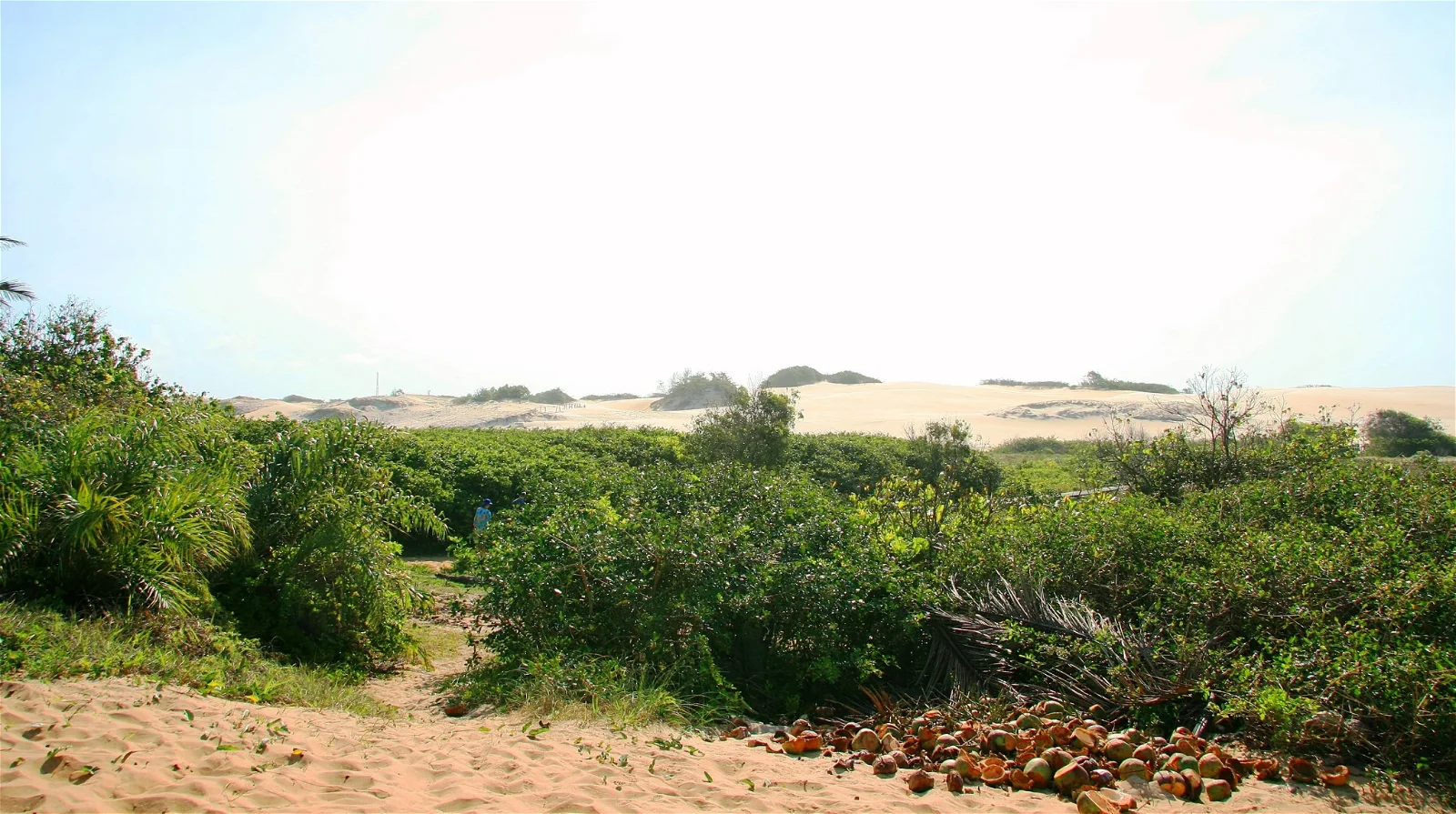 Parque Estadual de Itaúnas