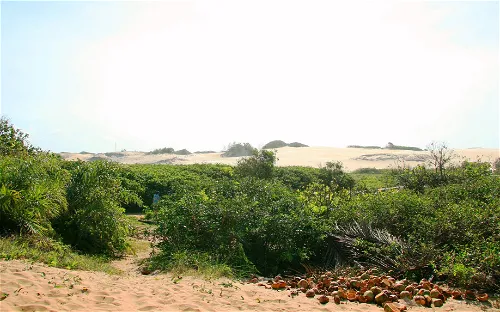 Parque Estadual de Itaúnas