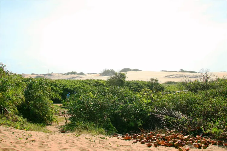 Parque Estadual de Itaúnas