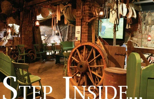 The World of James Herriot