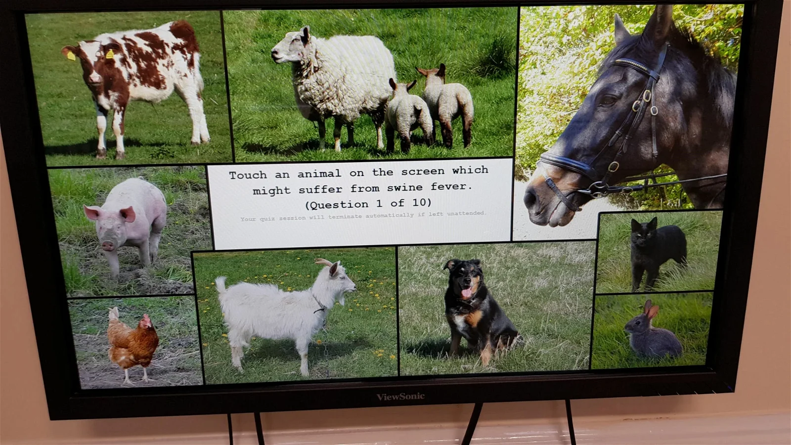 The World of James Herriot