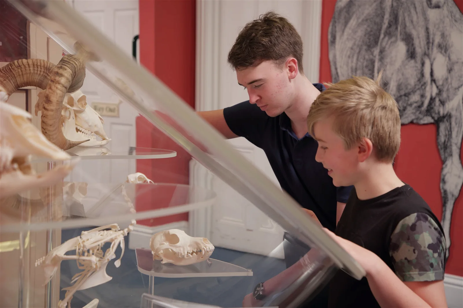 The World of James Herriot