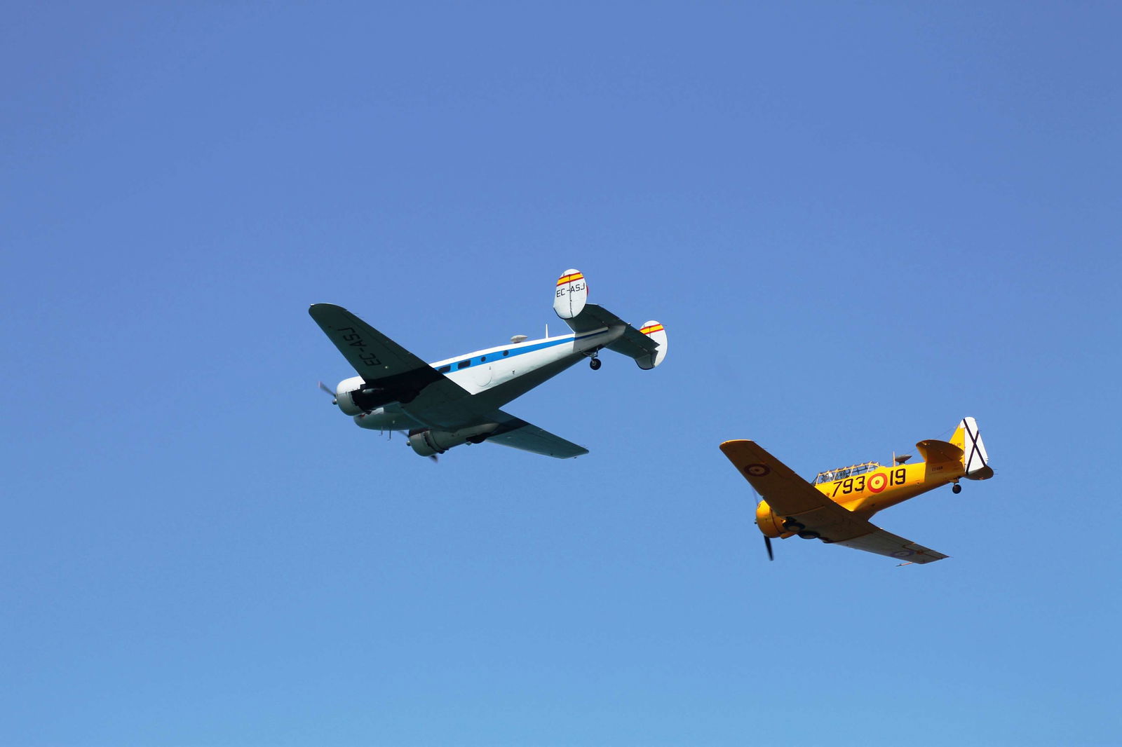 Infante de Orleans Foundation Museum