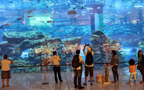 Dubai Aquarium & Underwater Zoo