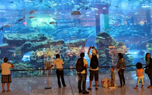 Dubai Aquarium & Underwater Zoo